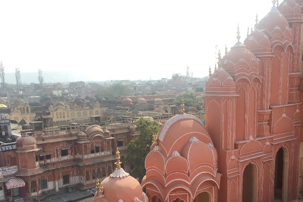 Tripsthan-golden-triangle-jungle